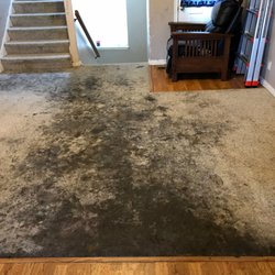 Power Plus Cleaning - Yucky Carpet
