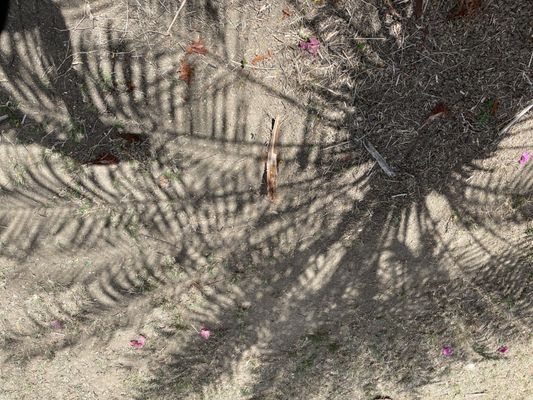 St George Village Botanical Gardens by null