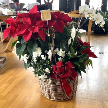 Bunches - Florists Near Me - Chicago, Illinois