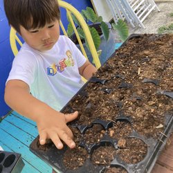 The Learn School - LEARN partner up with different projects and facilities to allow kids to learn outside of classroom.