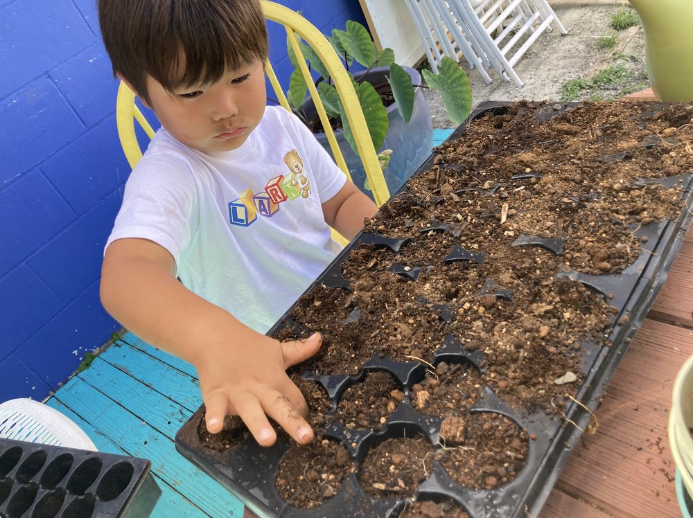 The Learn School - childcare center in Honolulu, HI