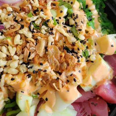 Poke Dojo by null