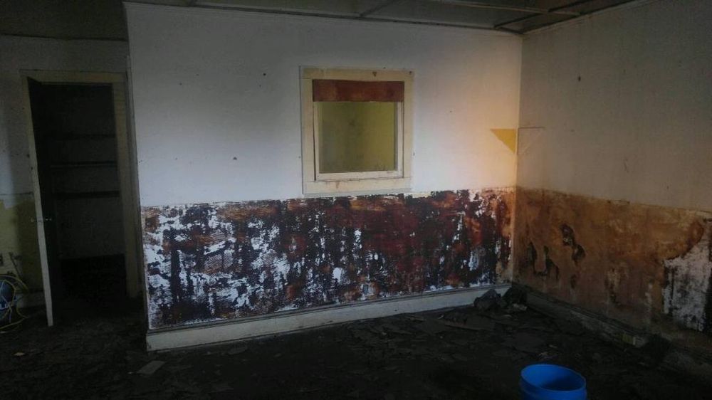 Slide of House Healers