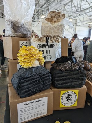 Magnuson Park Hangar 30 by null