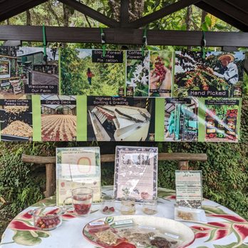 Mountain Thunder Coffee Plantation - Coffee - Coffee & Tea Near Me - Kailua-Kona, Hawaii