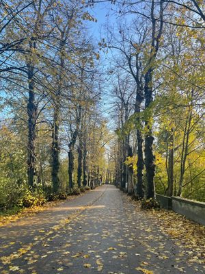 Minnewater Park by null