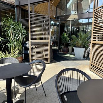 Traveler's Table - Dog friendly outdoor seating area. - Tapas/Small Plates Near Me - Houston, Texas