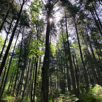 Belcarra Bluffs - Hiking Near Me