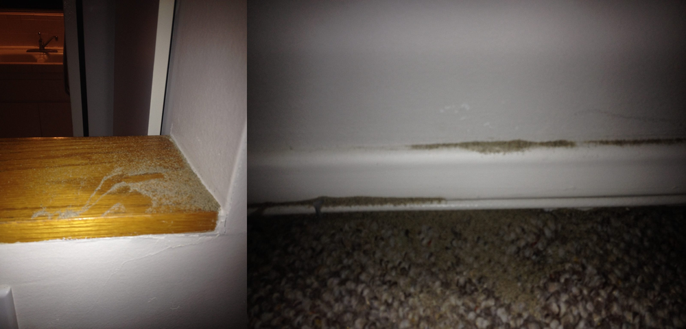 Slide of R. Haupt Roofing Construction, Inc.