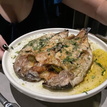 Andros Taverna - Grecian sea bream - Greek Near Me - Chicago, Illinois Andros Taverna - Grecian sea bream - Greek Near Me - Chicago, Illinois