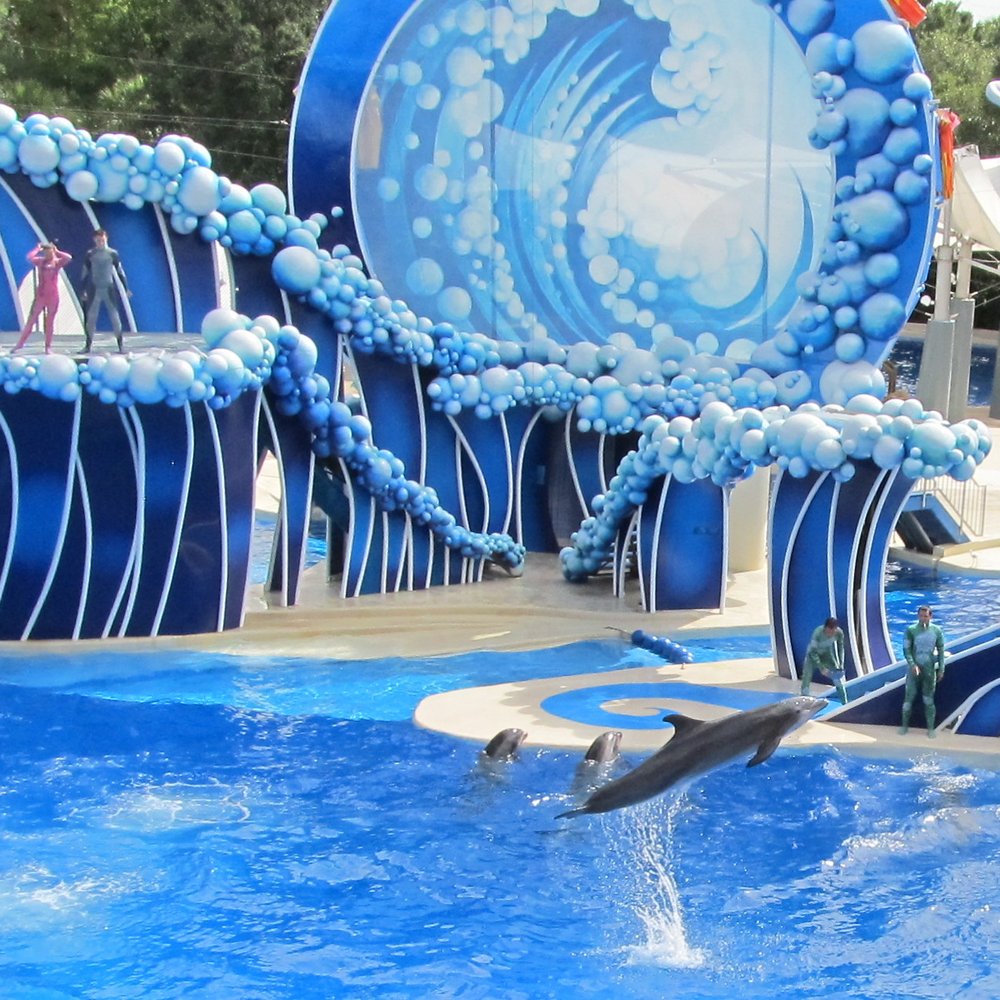 Dolphin Theater - Stadiums & Arenas Near Me - Orlando, Florida Dolphin Theater - Stadiums & Arenas Near Me - Orlando, Florida
