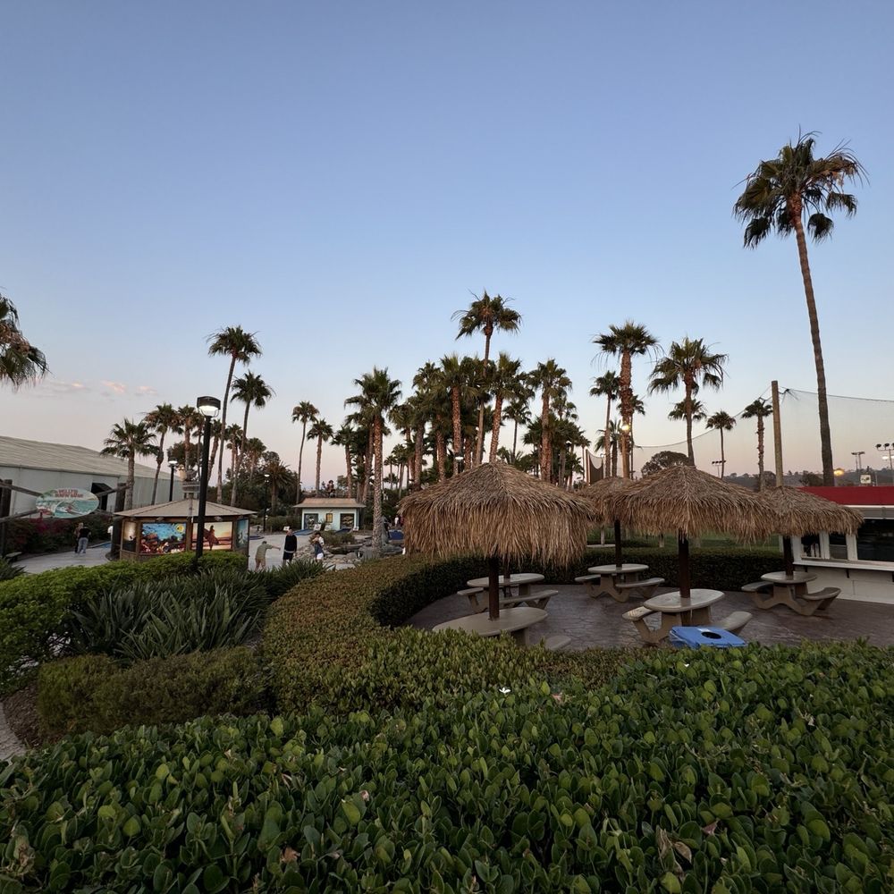 TOP 10 BEST Things to Do With Kids near Solana Beach, CA - Updated 2026 -  Yelp