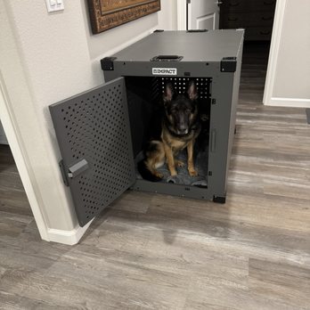 PS Professional Service - Lexi, my German shepherd. - Handyman Near Me PS Professional Service - Lexi, my German shepherd. - Handyman Near Me
