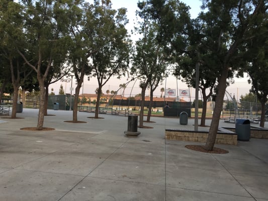 Olive Park by null