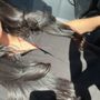 Photo of Sandra
