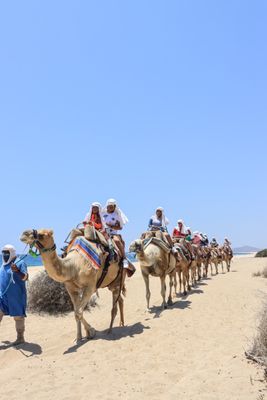 Cabo Adventures by null