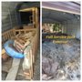 Photo of GBB Moving and Transportation