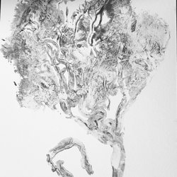 Denver Placenta Works - Placenta print
