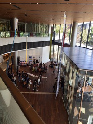 SAKURA MACHI Kumamoto by null