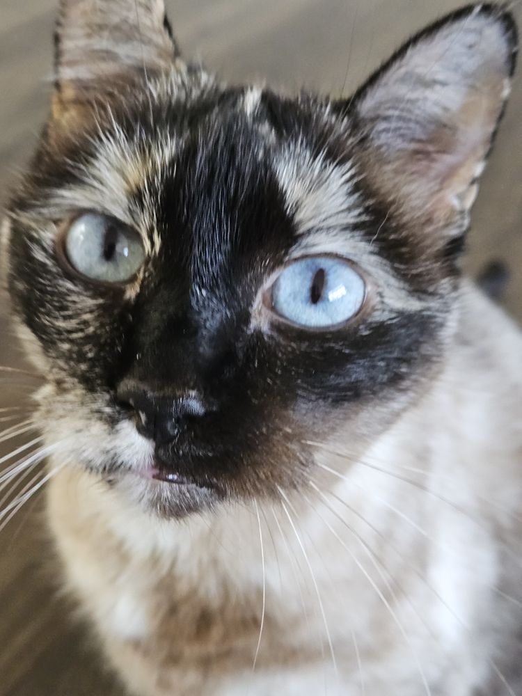 Social spots from Sacred Space Yoga