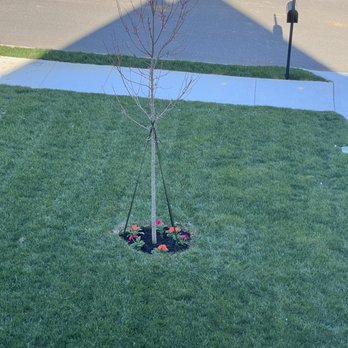 SH Pressure Washing - Pressure Washers Near Me SH Pressure Washing - Pressure Washers Near Me