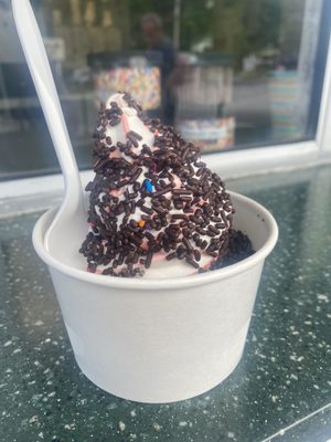 Bubbling Brook Ice Cream by null