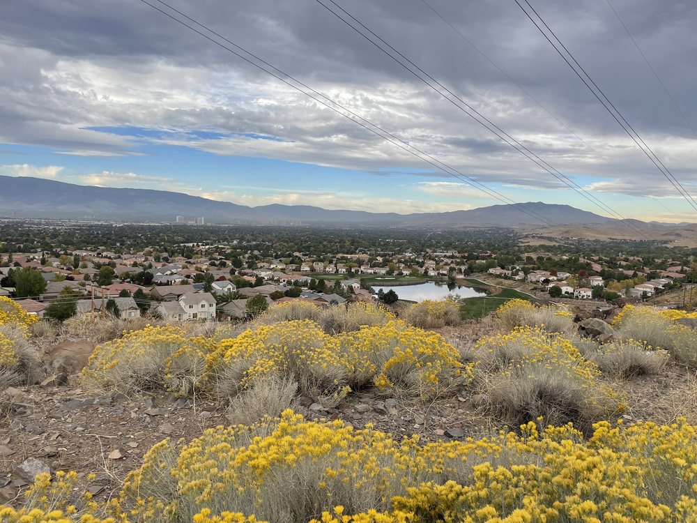 Dandra Golf - wedding in Sparks, NV