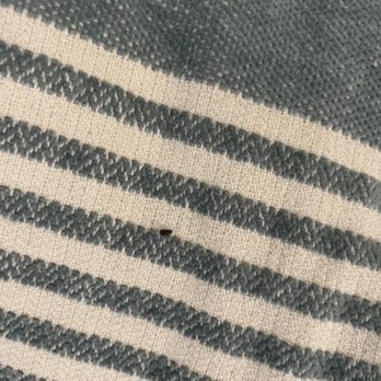 Roberts Mill Apartment Homes - Mice poop on my living room pillow - Apartments Near Me - Maple Shade, New Jersey