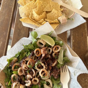 What The Fish Rolls - Calamari salad and mahi ceviche - Seafood Near Me - Tavernier, Florida What The Fish Rolls - Calamari salad and mahi ceviche - Seafood Near Me - Tavernier, Florida