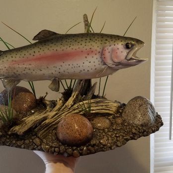 Belmar's Taxidermy - Rainbow trout - Taxidermy Near Me - Barnhart, Missouri Belmar's Taxidermy - Rainbow trout - Taxidermy Near Me - Barnhart, Missouri