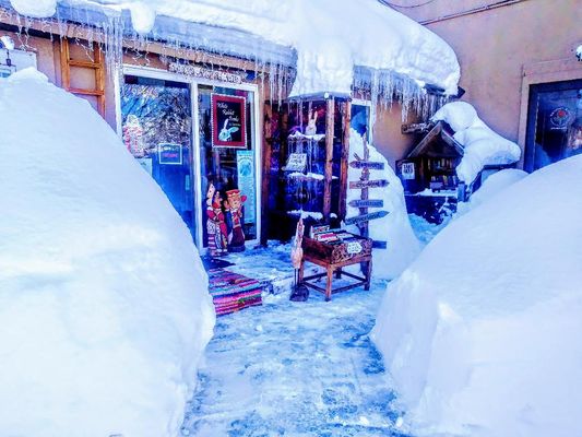 White Rabbit Books & Curiosities by null