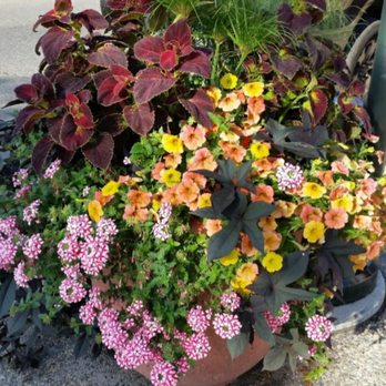 Landscapes on Main - Summer annual fun - Landscaping Near Me - Hayward, Wisconsin Landscapes on Main - Summer annual fun - Landscaping Near Me - Hayward, Wisconsin