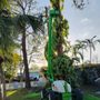 Photo of S Canuto Tree Removal Services