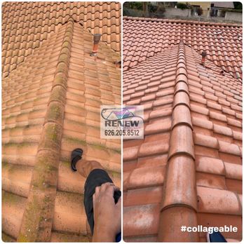 Renew Power Clean - Insurance renewal requirements roof wash - Pressure Washers Near Me Renew Power Clean - Insurance renewal requirements roof wash - Pressure Washers Near Me