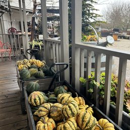 Sone of their winter squash and other pumpkins!