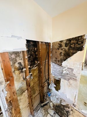 A Touch of Anne Restoration & Cleaning