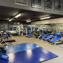 Ford's Fitness Center - Ab zone