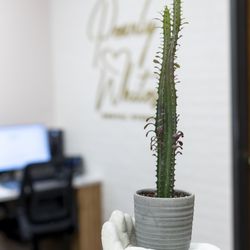 Pearly Whites Dental Studio