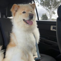After grooming :) After grooming :)