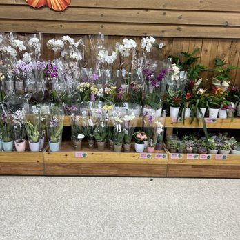 Trader Joe's - Fresh flowers - Grocery Near Me - Manhattan Beach, California