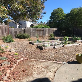 Thomas Landscapes - After Thomas Landscapes - Landscaping Near Me - Healdsburg, California