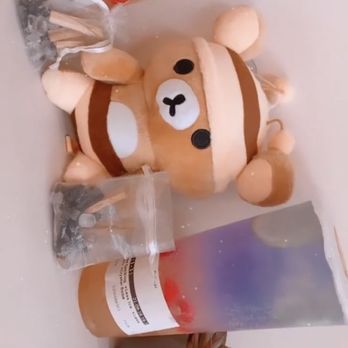 Tibear - Bubble Tea Near Me - Berkeley, California