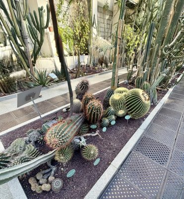 Real Jardín Botánico by null