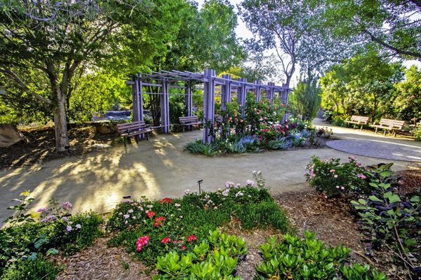 Springs Preserve by null