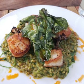 Halifax - Sea scallop with risotto in pesto sauce - Seafood Near Me - Hoboken, New Jersey