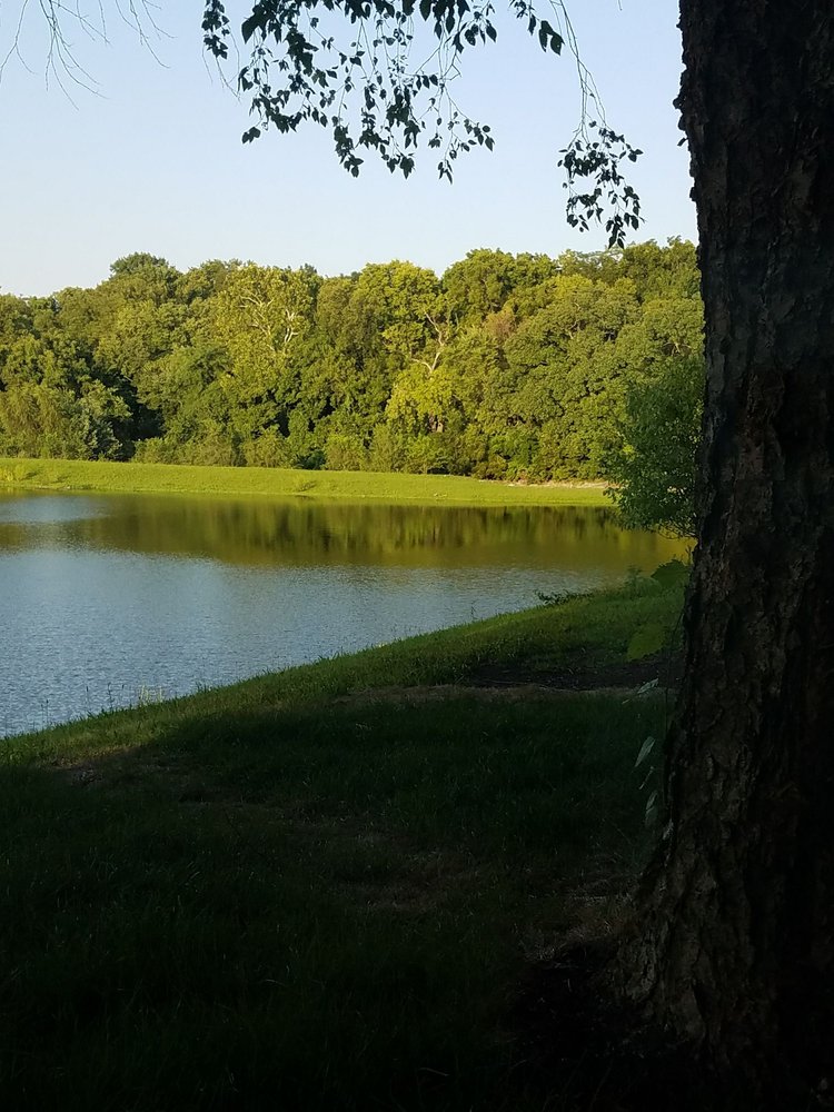 HYVEE MARKET GRILL Updated September 2024 15 Reviews 301 NE Rice Rd, Lee's Summit