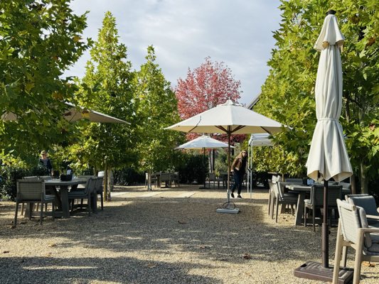 Merriam Vineyards by null