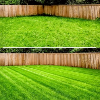 Genesis Landscape & more - Tree Services Near Me - Grand Saline, Texas Genesis Landscape & more - Tree Services Near Me - Grand Saline, Texas