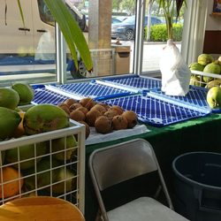 Tropical Boyz - Coconuts by the bins!