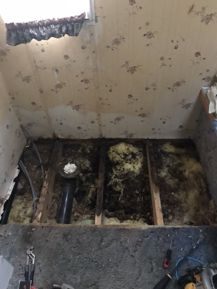 Slide of Fast Eddies construction